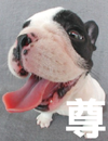 ¨s·¥の´LÀs¤ý ¨s·¥の´LÀs¤ý