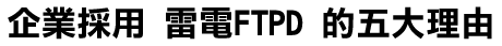 專為企業設計的 FTP Server - RaidenFTPD